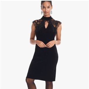 NWT White House Black Market Velvet Shift Dress with Lace Veiling Size 12